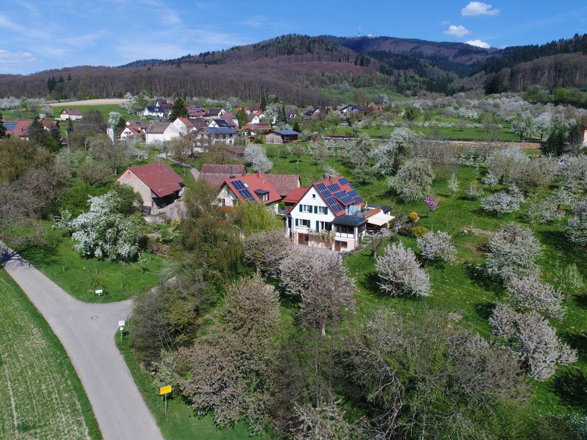 Haus Am Blauenbach Lejlighed Schliengen Eksteriør billede